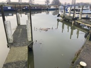 Up to 26' 3" / 8.00m mooring at Torksey Lock L1 Leisure available now